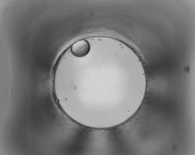 X0000100421514200806060936