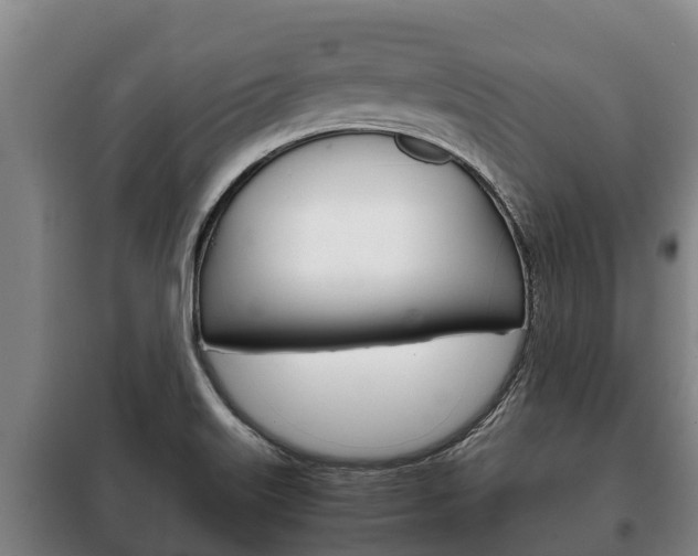 X0000100421515200806060936