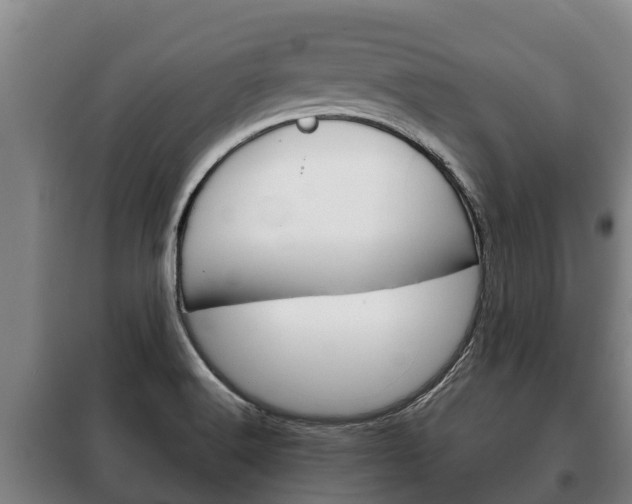 X0000100421516200806060936