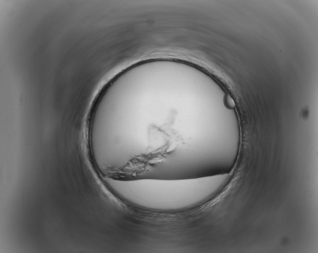 X0000100421517200806060936