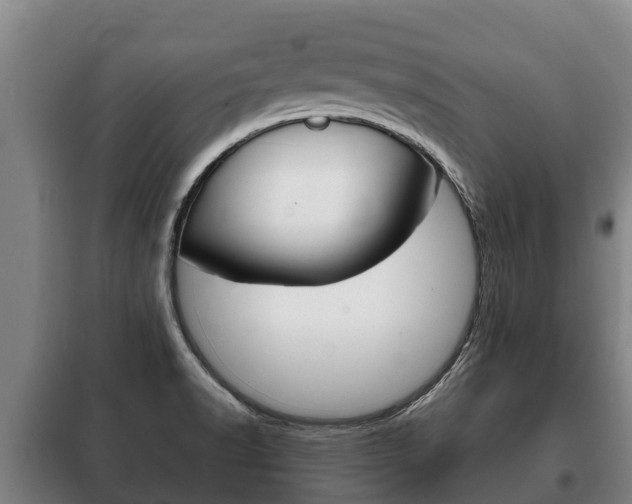 X0000100421518200806060936