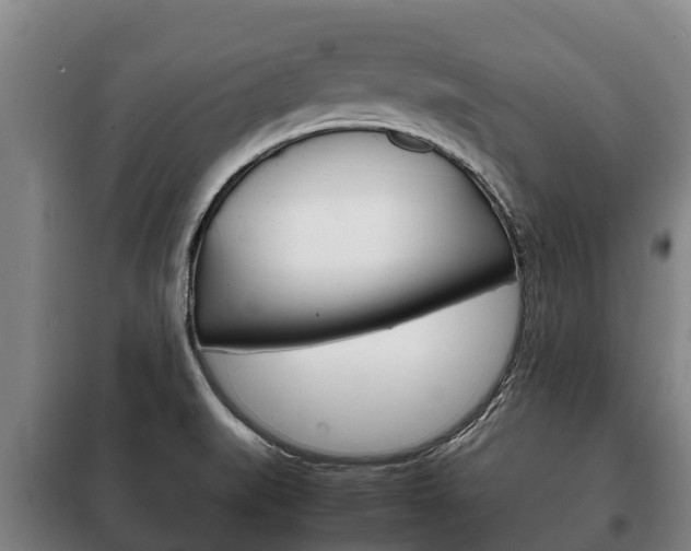 X0000100421519200806060936