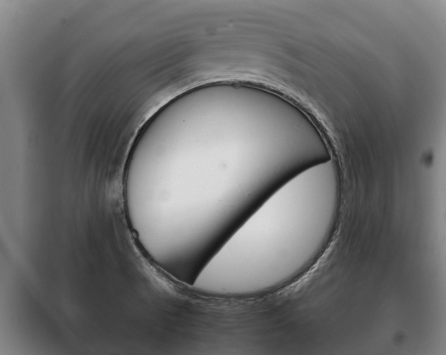 X0000100421521200806060936