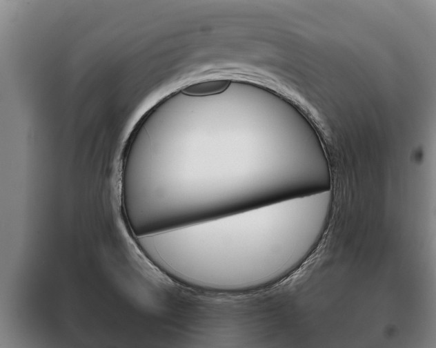 X0000100421522200806060936