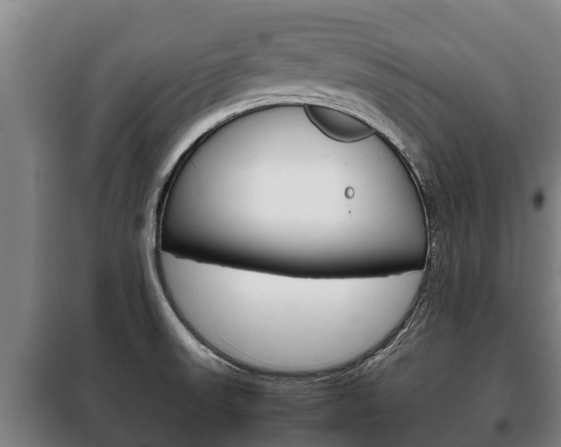 X0000100421523200806060936