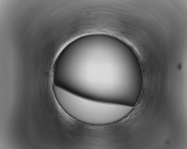X0000100421524200806060936