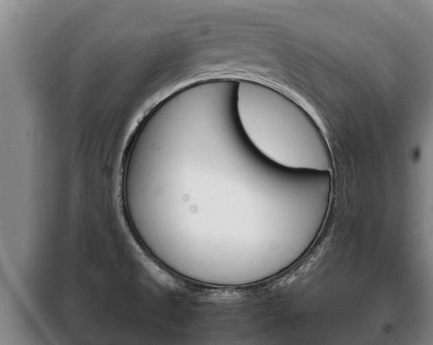 X0000100421525200806060936