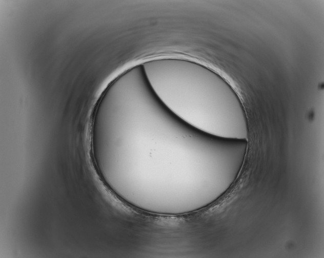 X0000100421526200806060936