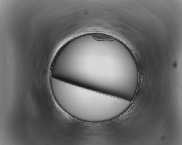 X0000100421527200806060936