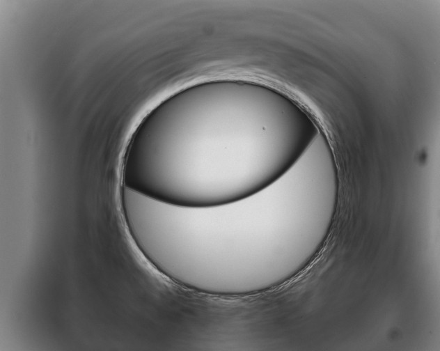 X0000100421528200806060936