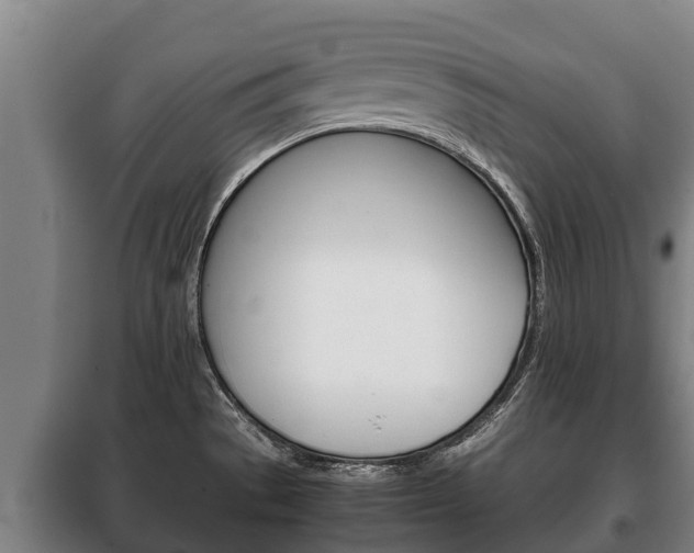 X0000100421529200806060936