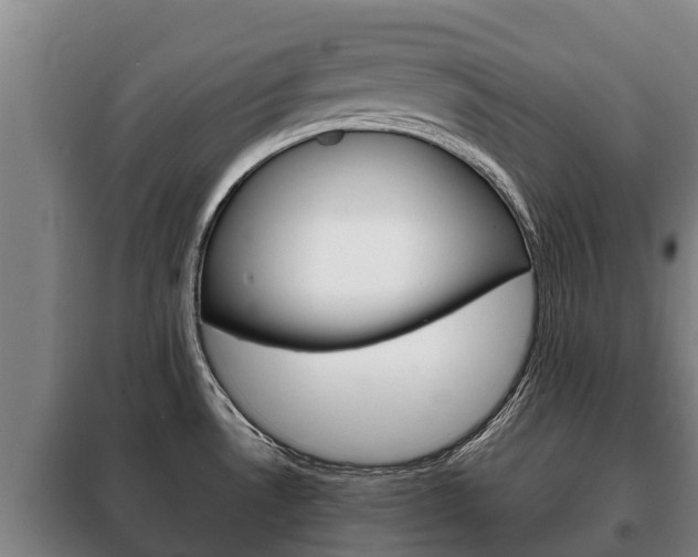 X0000100421530200806060936