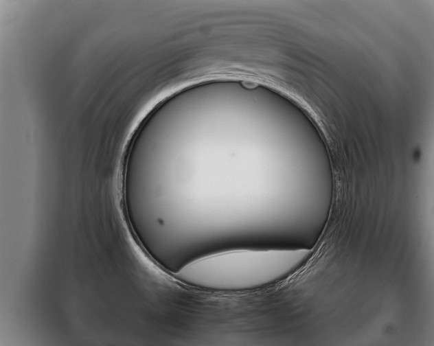 X0000100421531200806060936