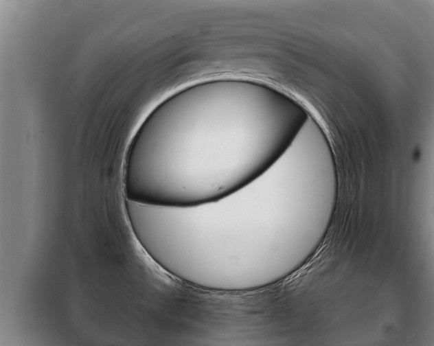 X0000100421532200806060936