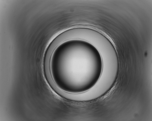 X0000100421533200806060936