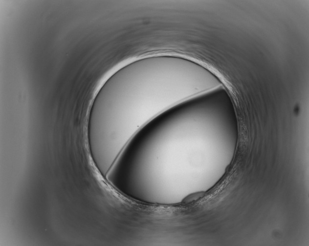 X0000100421534200806060936