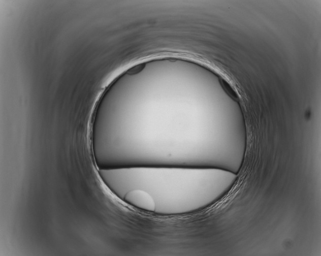 X0000100421535200806060936