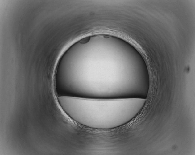 X0000100421536200806060937