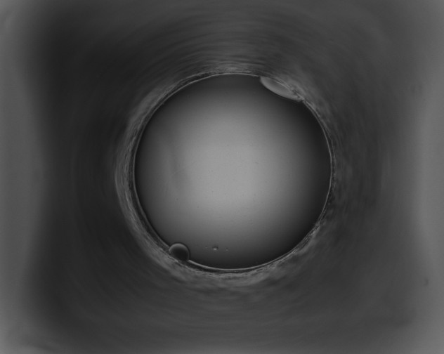 X0000100420001200806061413