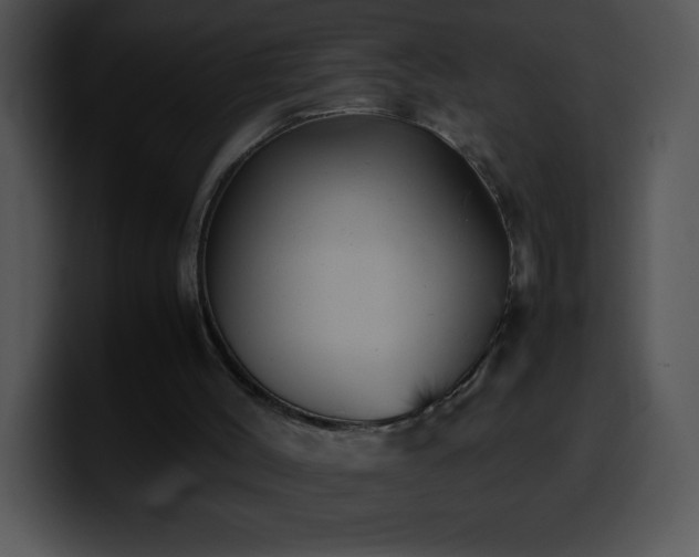 X0000100420004200806061413