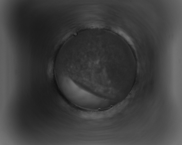 X0000100420009200806061413