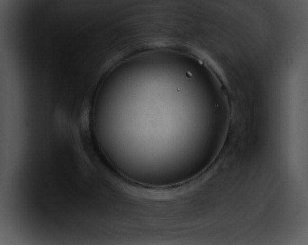 X0000100420010200806061413