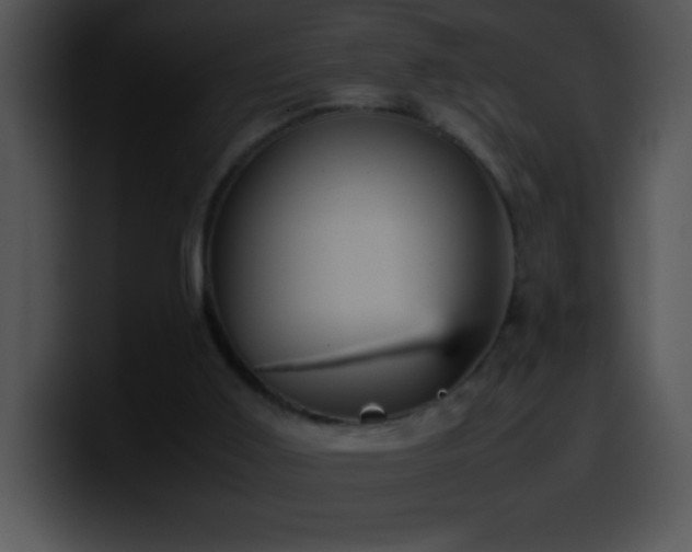 X0000100420011200806061413
