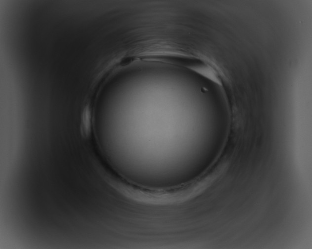X0000100420014200806061413