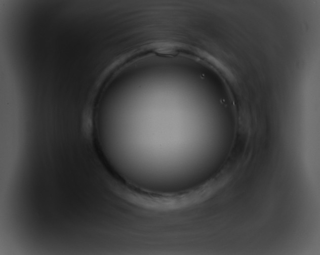 X0000100420015200806061413