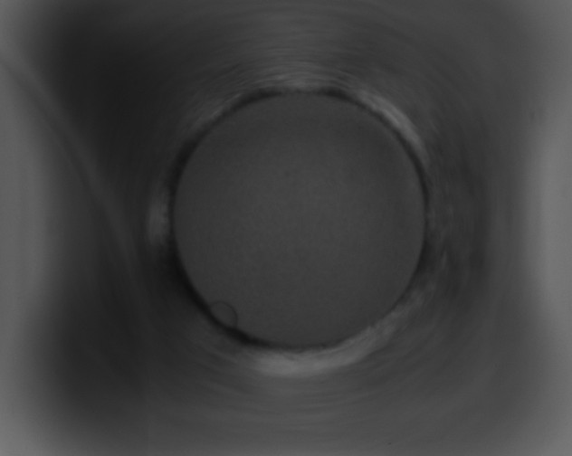 X0000100420017200806061413