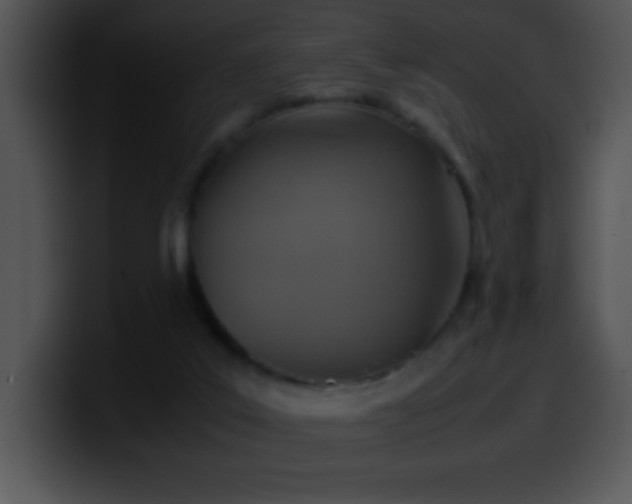 X0000100420019200806061413