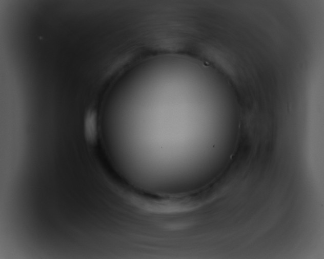 X0000100420020200806061413