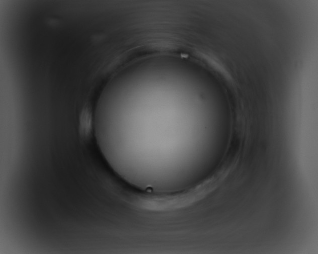 X0000100420021200806061413
