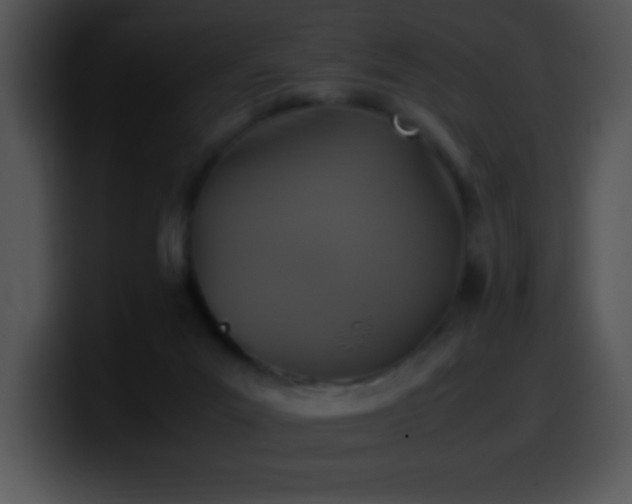 X0000100420023200806061413