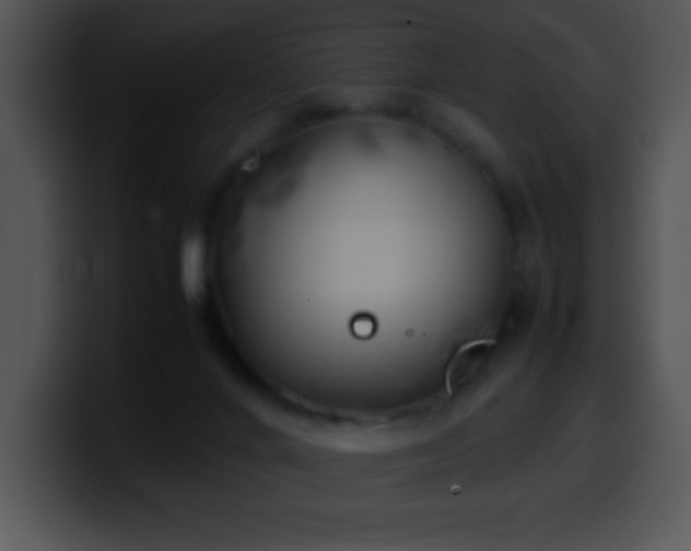 X0000100420024200806061413