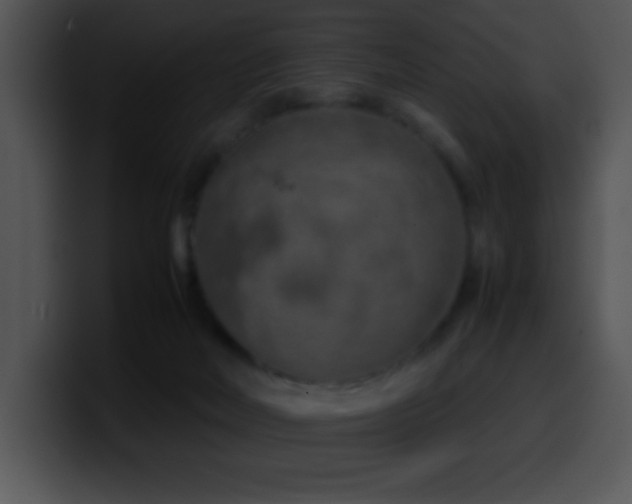X0000100420026200806061413