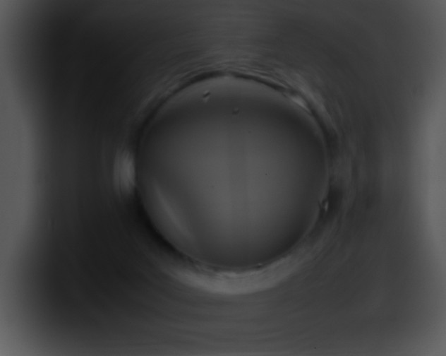 X0000100420027200806061413