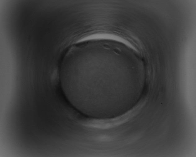 X0000100420029200806061413