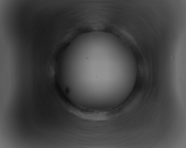 X0000100420032200806061413