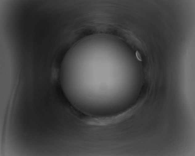 X0000100420033200806061413