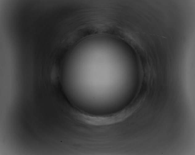 X0000100420034200806061412