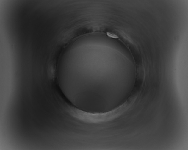 X0000100420039200806061412