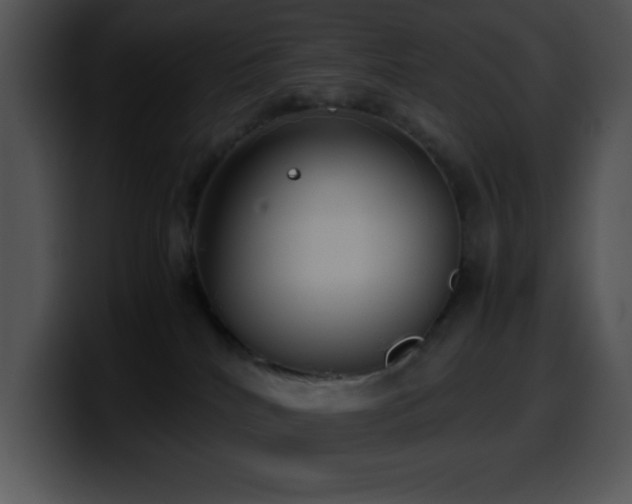 X0000100420040200806061412