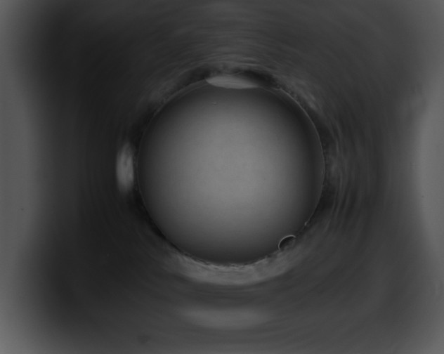 X0000100420042200806061412