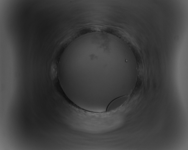 X0000100420043200806061412