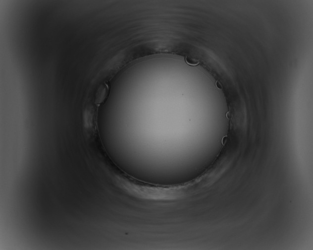 X0000100420044200806061412