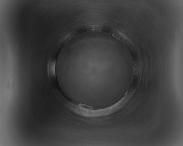 X0000100420047200806061412