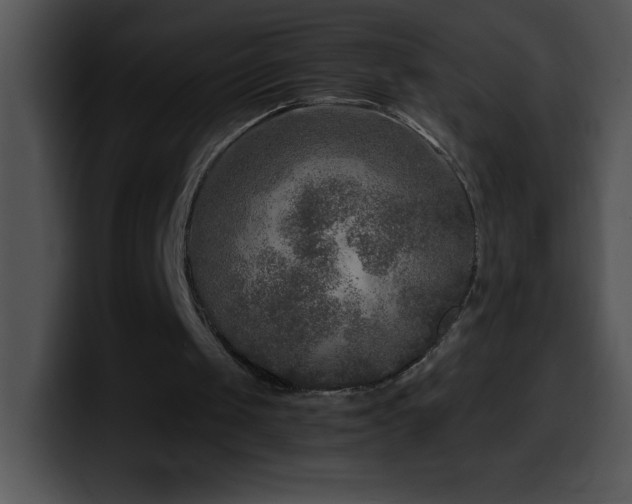 X0000100420049200806061412
