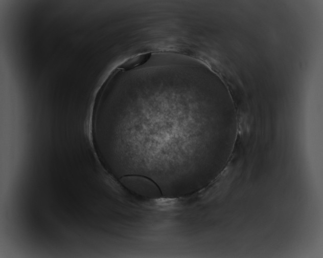 X0000100420052200806061412