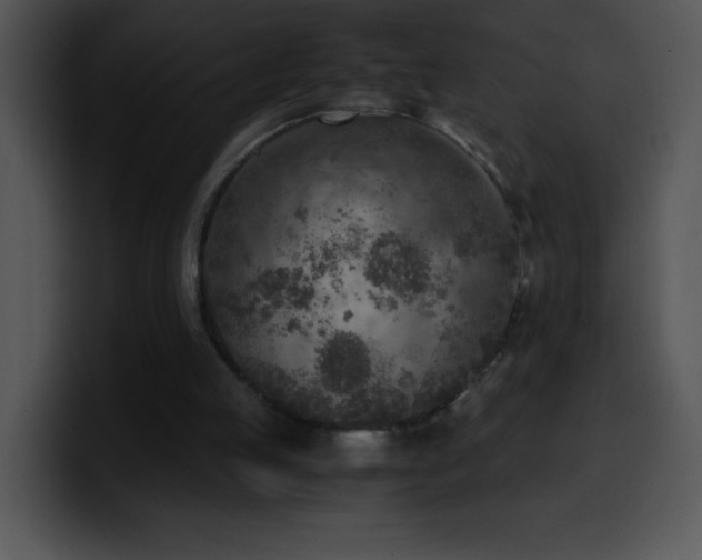 X0000100420053200806061412
